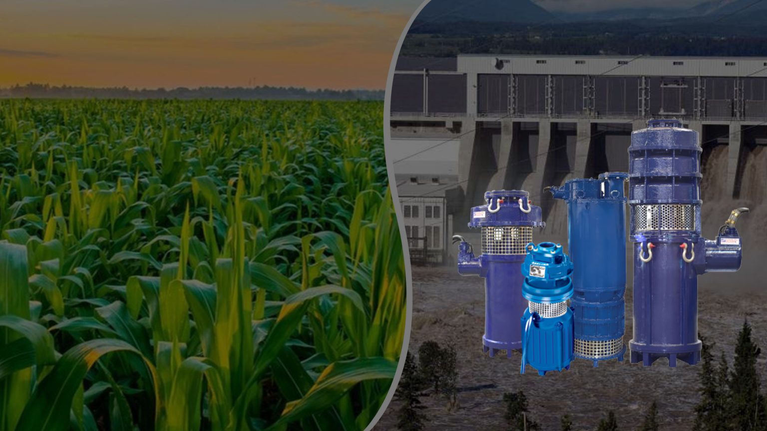 Raw Water Pumps Darling Pumps, Designing SMART Pumping Solutions.